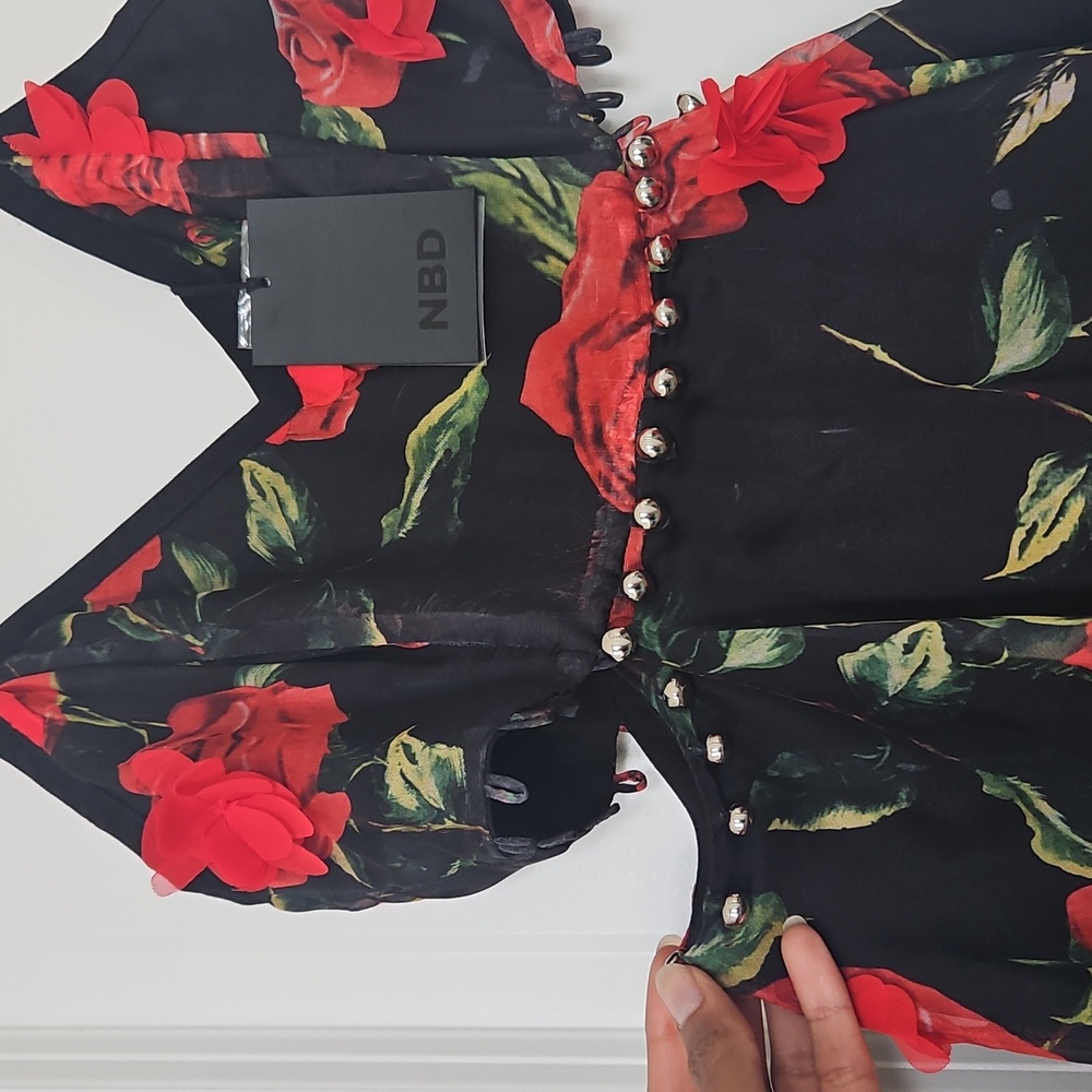 NBD Roses Are Red Skater Mini Dress - Picture 4 of 4